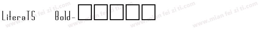 LiteraTS Bold字体转换